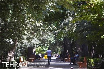 بوستان قیطریه 17