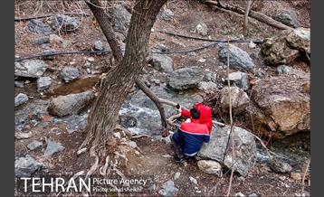 بام توچال تهران 7