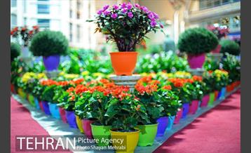 هشتمین نمایشگاه گل و گیاه تهران 6