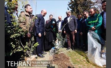 آیین کاشت درخت مادر 34