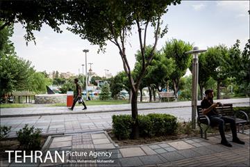 شهرنگار؛ بوستان المهدی 2