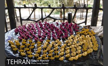 بوستان آزادگان 22