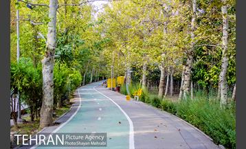 پاییز بوستان لاله 5