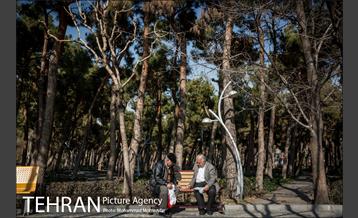 روزهای آفتابی پارک لاله 10