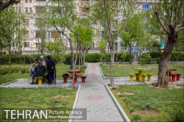 روز طبیعت بدون انسان 14