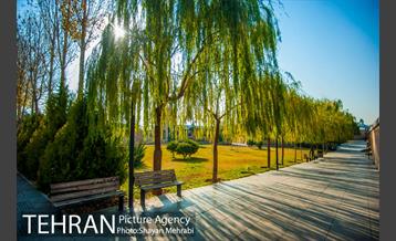 پاییز باغ موزه قصر 30