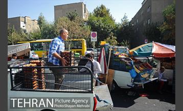 میوه فروشان خیابانی 14