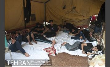 زائران اربعین حسینی 2 7