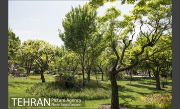 بوستان آزادگان 12