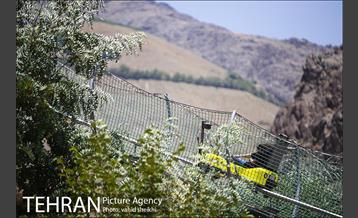 بوستان گلابدره 4