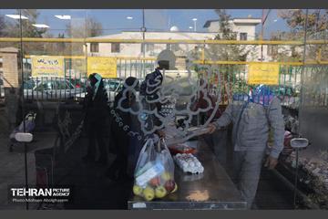 تره‌بار یلدایی 44