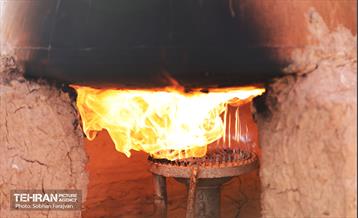 جشنواره گل و گلاب در برج میلاد 21