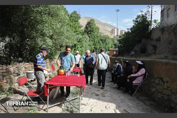 همایش پیاده روی خانوادگی در رود دره فرحزاد 66