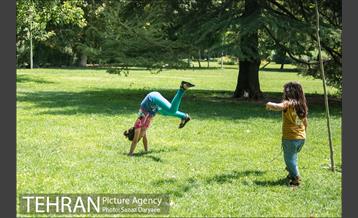 ظهر گرم تابستان 6