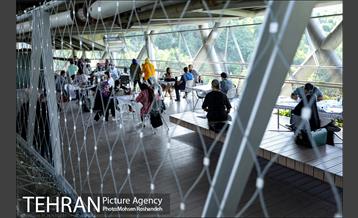 عصرانه کارتون پل طبیعت 17