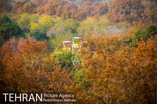 پاییز پارک شهر 2