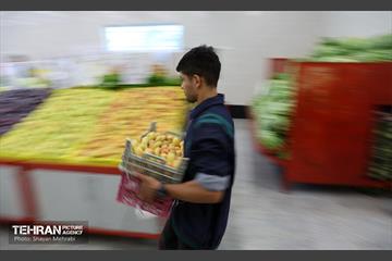 بازار میوه و تره‌بار مرواردید 7