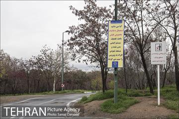 تعطیلی بوستان جنگلی سرخه حصار به منظور پیشگیری از شیوع ویروس کرونا 18