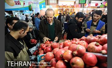 بازدید شهردار تهران از بازار میوه و تره بار جلال آل احمد 14