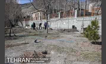 مراسم درختکاری به مناسبت یادبود همکاران جانباخته کرونا در شهرداری تهران 37