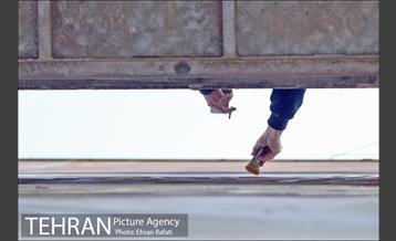 مراسم رونمایی از اثر دیوارنگاری هنرمندان استرالیایی  6