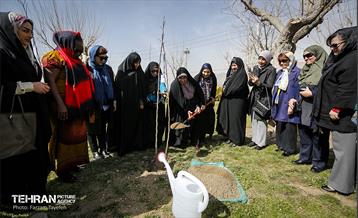 آیین درختکاری در منطقه‌5 17