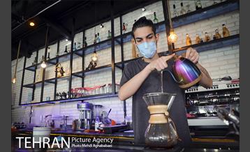 مرکز گل و گیاه ایوار 23