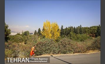 بوستان سرخه حصار 18