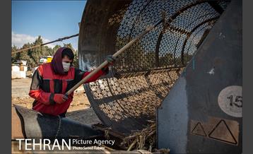 تولید کود کمپوست در پارک جنگلی آزادشهر 15