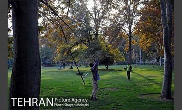 ورزش اسلک لاین 1