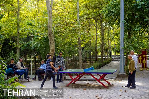 پاییز بوستان لاله 6