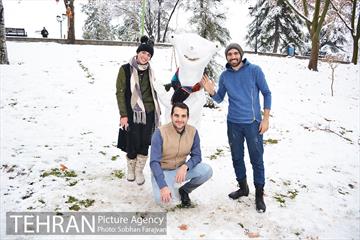 روز برفی تهران در بوستان ملت 20