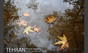 پاییز در پارک شهر 17