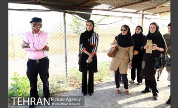 نشست تغییرات اقلیمی با حضور هنرمندان و فعالان محیط زیست‎ 17