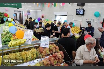 افتتاح بازار میوه و تره‌بار میخک و مروارید 16