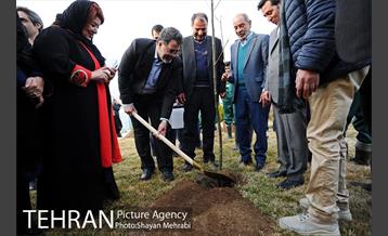 کاشت شش نهال درخت زیتون با حضور کارگرداران سینمای ایران 7