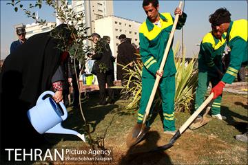 آیین درختکاری در منطقه فرهنگی و گردشگری عباس آباد  21