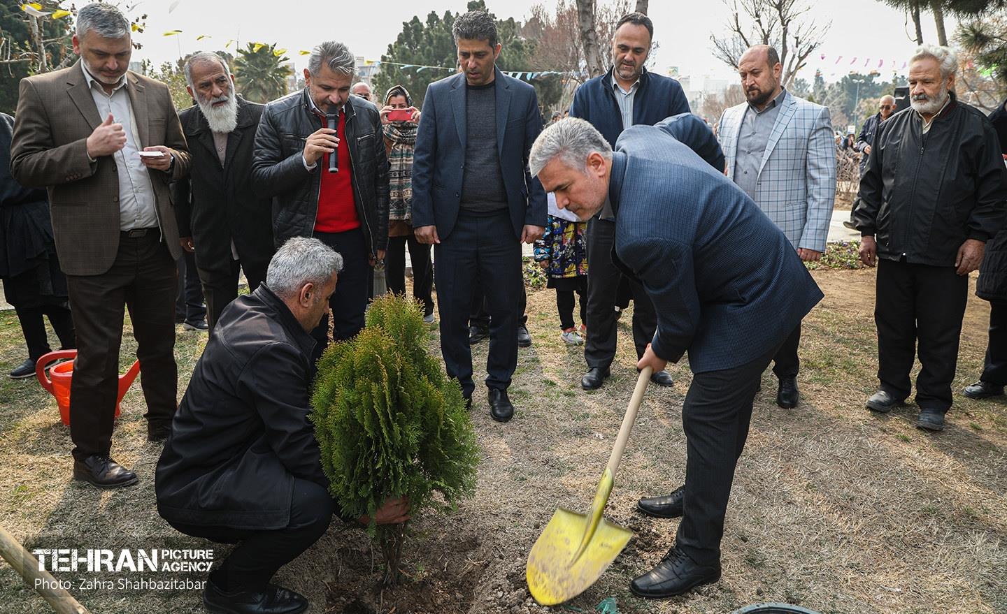 مراسم درختکاری در منطقه 15 5