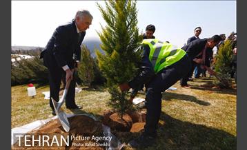 آیین کاشت درخت صلح و دوستی 31