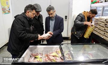 بازدید مدیرعامل سازمان تره‌وبار از میادین میوه 31