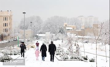 روز برفی در منطقه 5 9