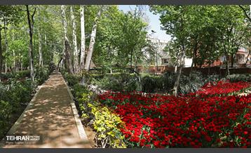 باغ ایرانی میزبان لاله‌ها 2