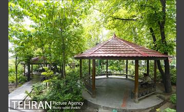 بوستان نیاوران 25