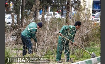 بوستان شهرآرا 24