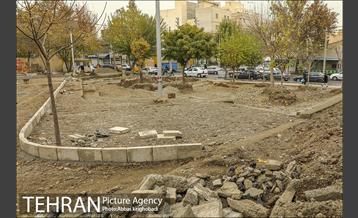 پلازای هاشمی 5