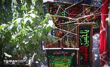 عطر بوی سیب وزیدن گرفت 35