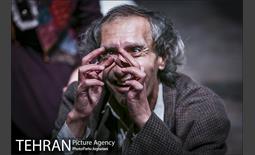 نمایش اطلسی های لگدمال شده 3