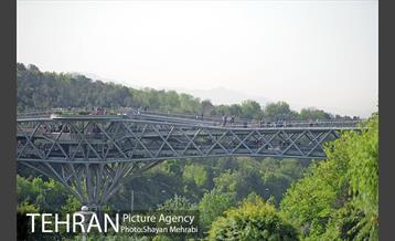 همایش پیاده روی خانوادگی کارکنان شهرداری 33