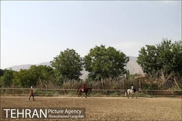 سوارکاری ورزشی برای کودکان‎ 13