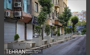 باز پیرایی خیابان 50 ساله 18